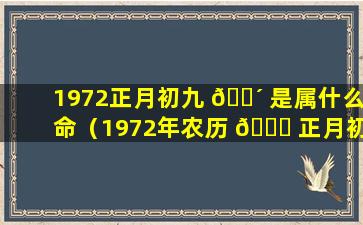 1972正月初九 🌴 是属什么命（1972年农历 🐒 正月初九生人的命运）